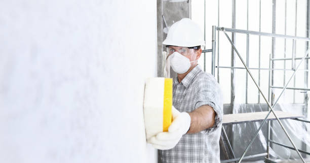 Why You Should Choose Our Mold Remediation Services in Sparkill, NY